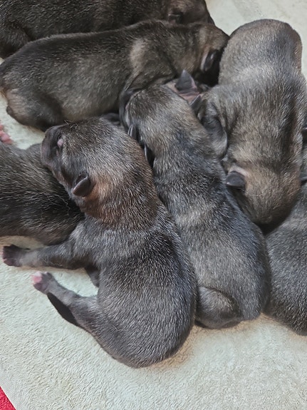 Product image 6 of 9