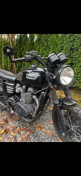 Triumph BONNEVILLE T100 10 of 10