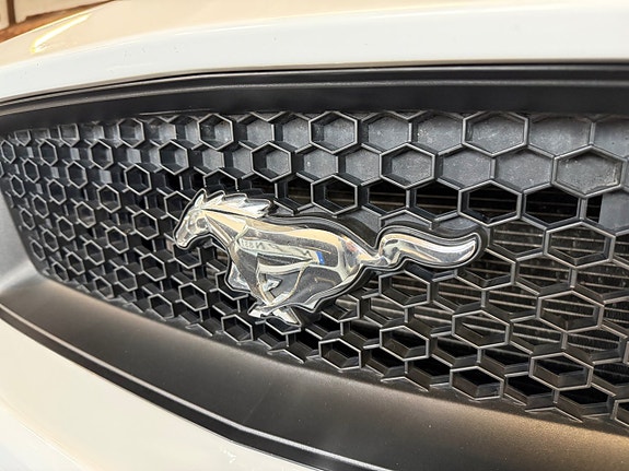 Ford Mustang 13 of 27