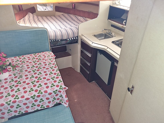 Wellcraft monte carlo 28 3 of 5