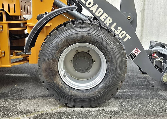 Multiloader L 30 i lager för omg. Leverans 10 of 10