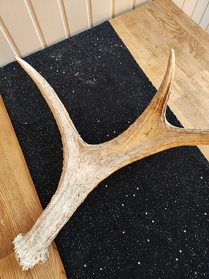 Product image 11 of 15