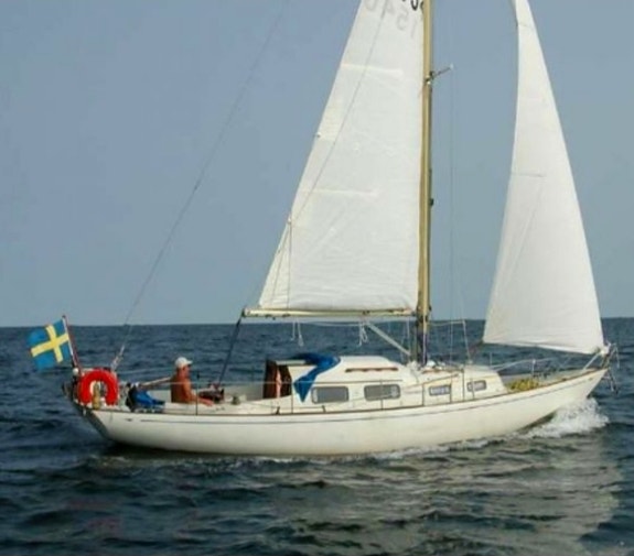 Arietta 31 — Vedi foto 1