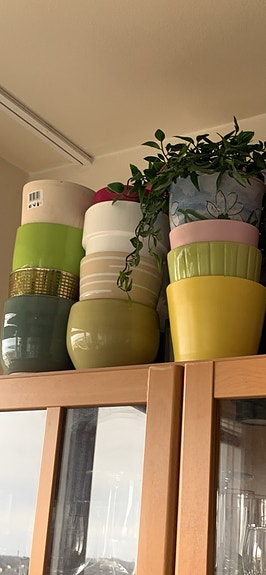 Product image 11 of 37