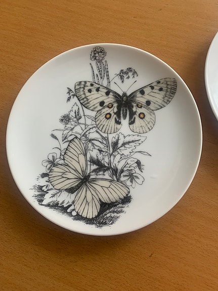 Product image 18 of 37