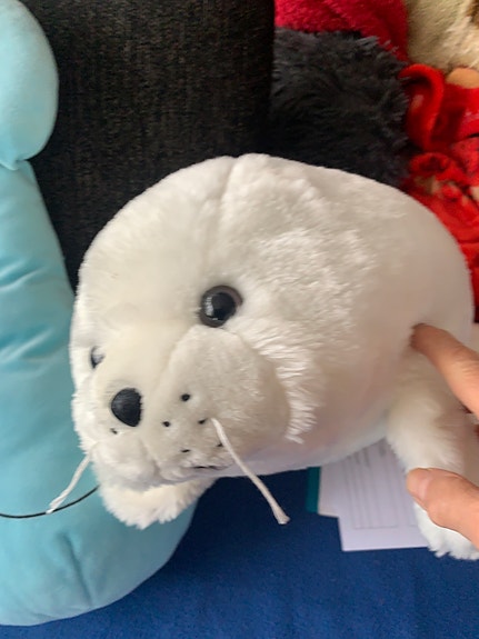 Product image 7 of 10