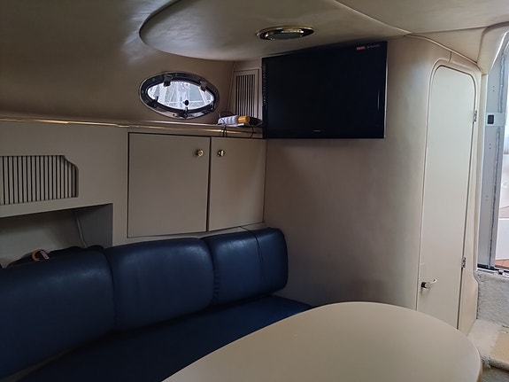 Sea ray 7 of 16