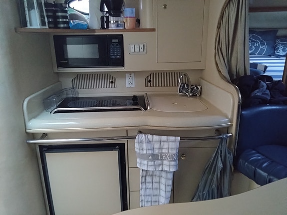 Sea ray 13 of 16
