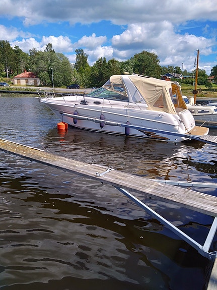 Sea ray 3 of 5