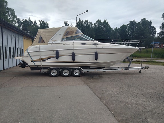 Sea ray 4 of 5