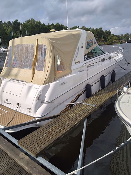 Sea ray 2 of 5