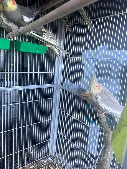 Product image 7 of 9