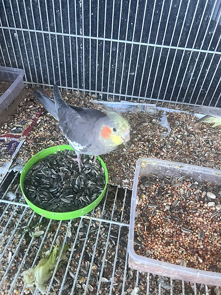 Product image 4 of 9