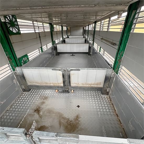 Vandborg Grisetransport / Pig transport 22 of 30