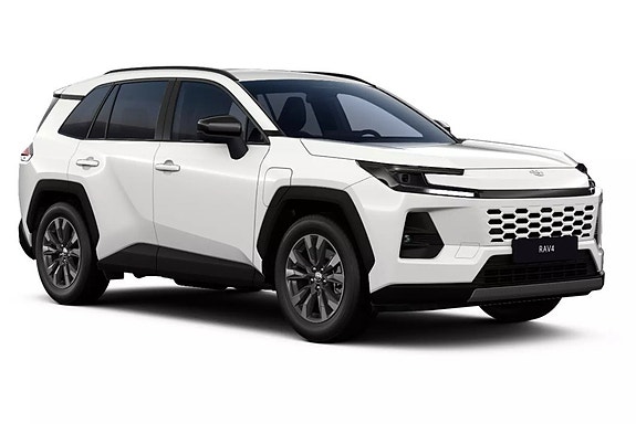 Brugt Toyota Rav4 