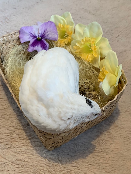 Product image 16 of 25