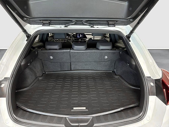 Lexus UX250h 10 of 10