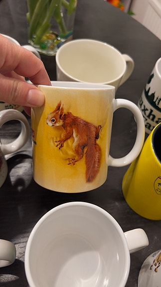 Product image 3 of 10