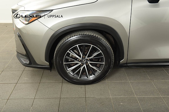 Lexus NX450h+ 17 of 17