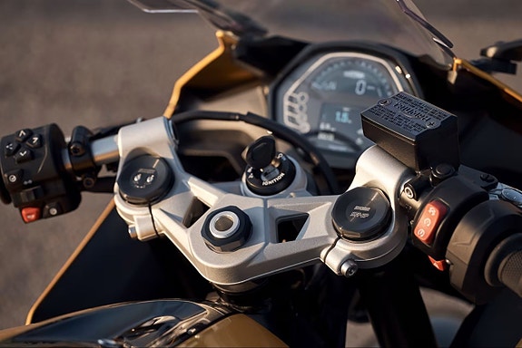 Triumph DAYTONA 660 *TICKET TO RIDE 6.000KR* 10 of 15