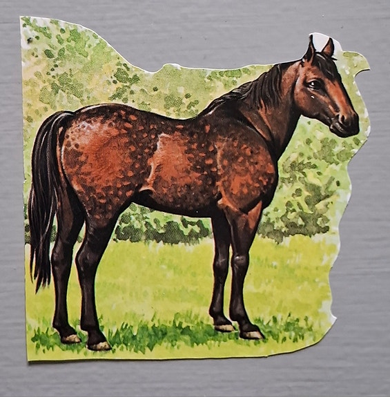 Product image 13 of 13
