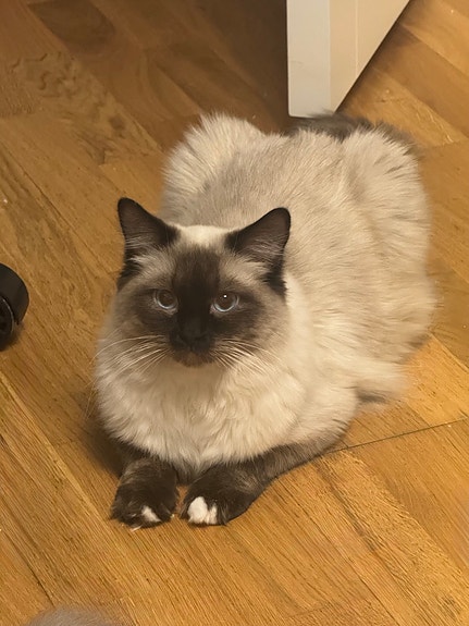 Product image 9 of 9