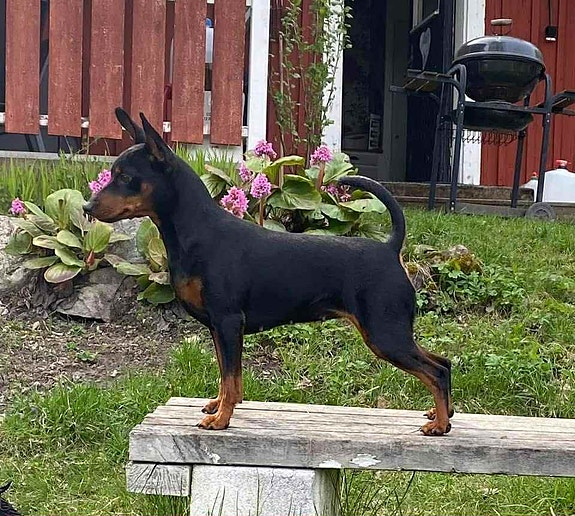 Product image 3 of 4