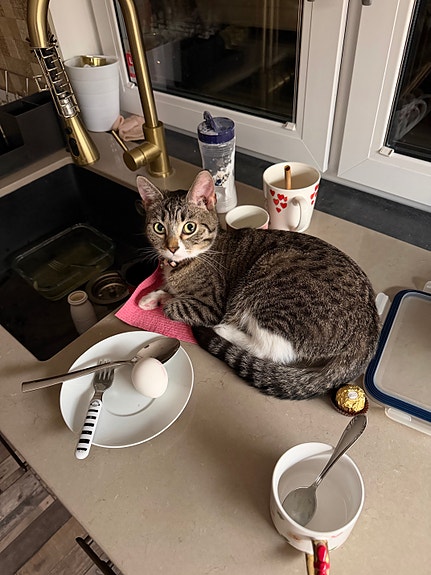 Product image 2 of 9