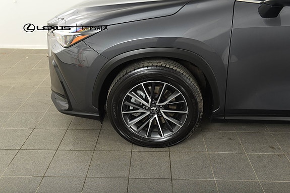 Lexus NX450h+ 17 of 17