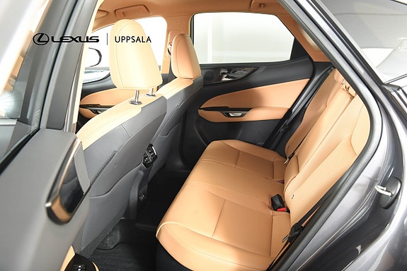 Lexus NX450h+ 7 of 17