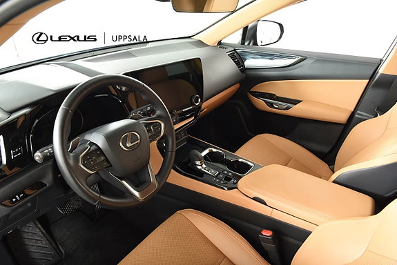 Lexus NX450h+ 6 of 17