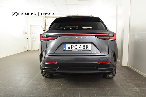 Lexus NX450h+ 4 of 17