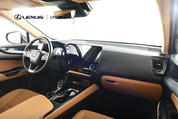 Lexus NX450h+ 10 of 17