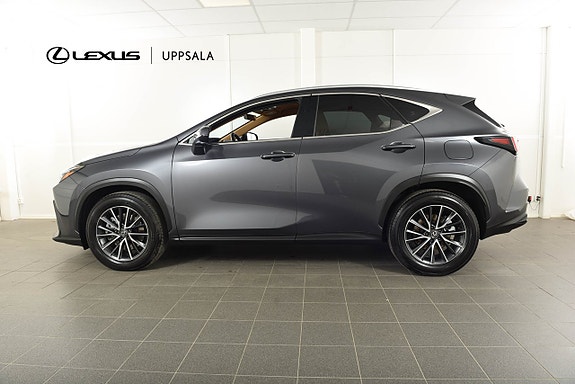 Lexus NX450h+ 2 of 17