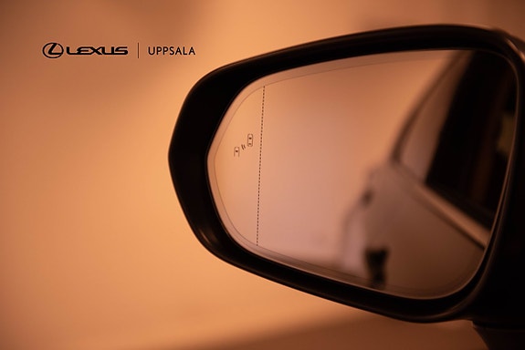 Lexus NX450h+ 16 of 17