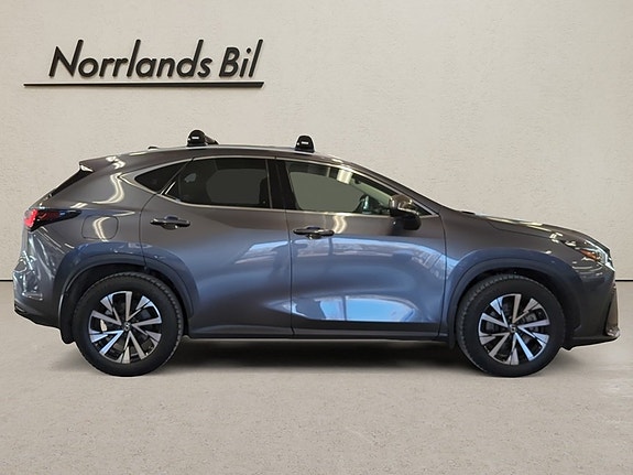 Lexus NX450h+ 11 of 18