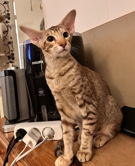 Product image 3 of 8