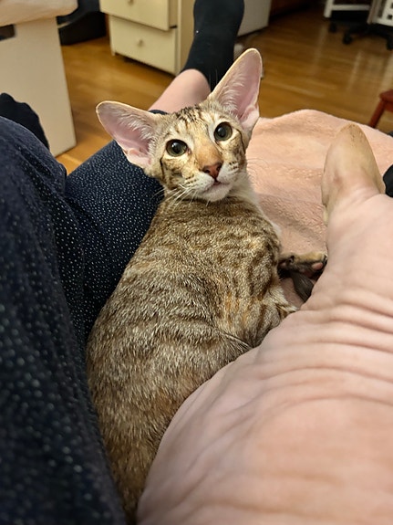 Product image 7 of 8