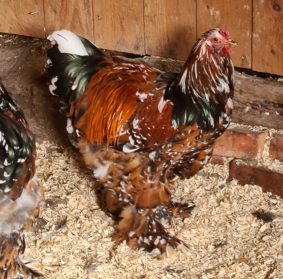 Product image 9 of 9