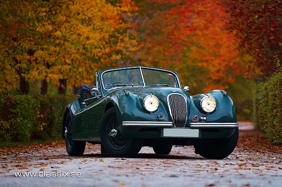 Jaguar XK120 14 of 25