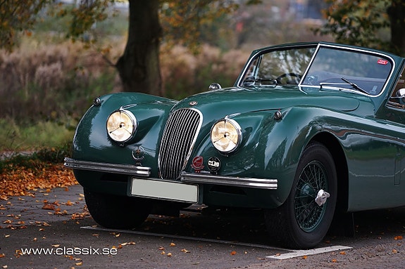 Jaguar XK120 19 of 25
