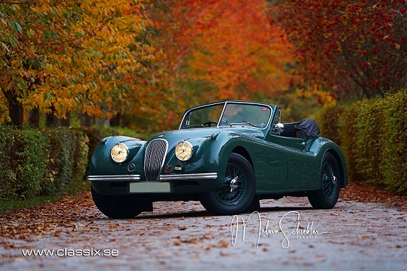 Jaguar XK120 7 of 25