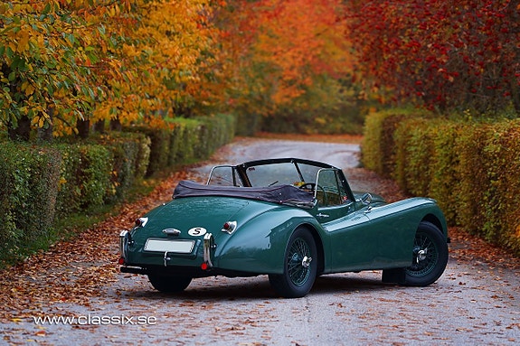 Jaguar XK120 6 of 25