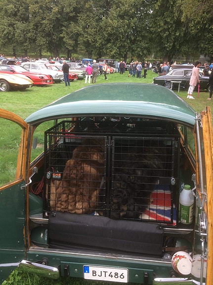 Morris Traveller 6 of 18