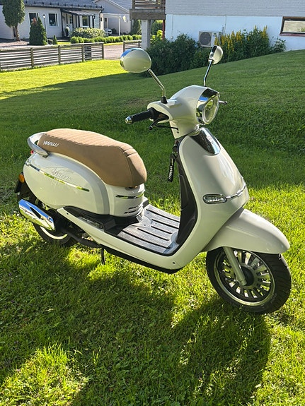 Viarelli Vincent 3 of 8