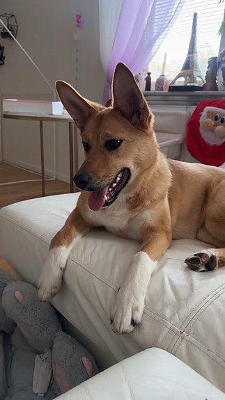 Product image 3 of 9