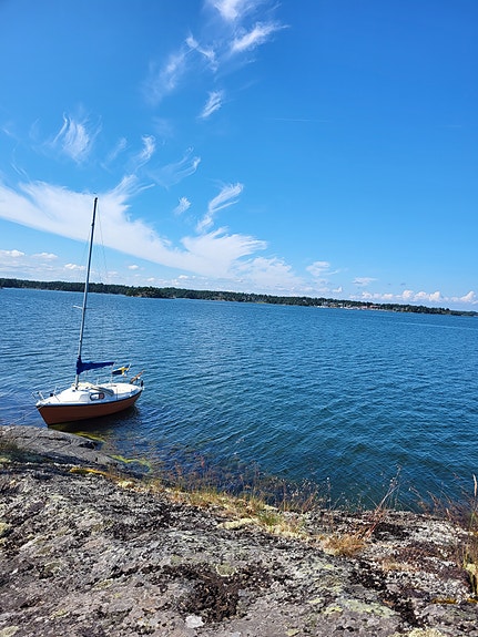 MARIEHOLM MS-20 — View photo 1