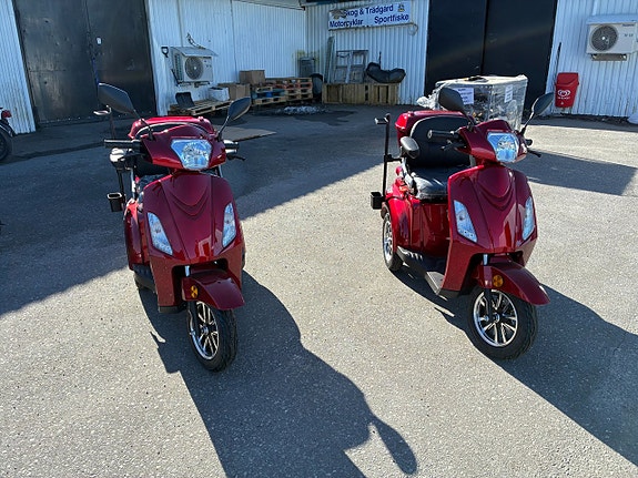 Skand Leijona Promenadskoter