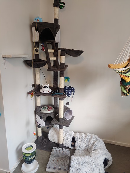 Product image 5 of 9