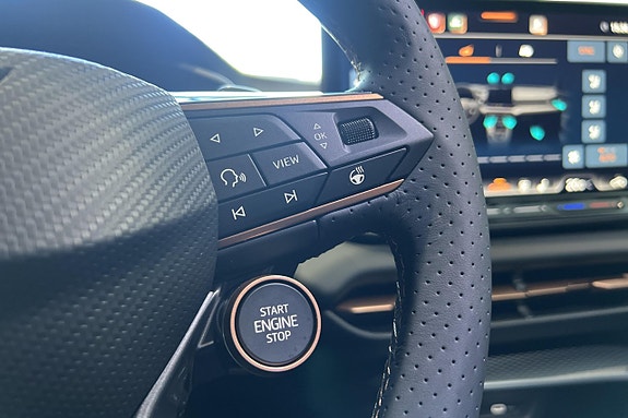 Cupra Terramar 22 of 23